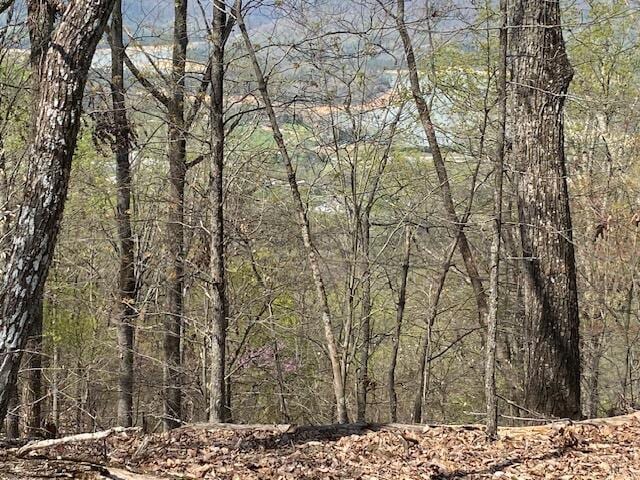 155 Chelaque Way, Mooresburg, TN 37811