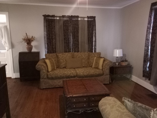 059/057.00 Spring Creek Rd, Dandridge, TN 37725 - living room with baseboards, ornamental molding, and wood finished floors