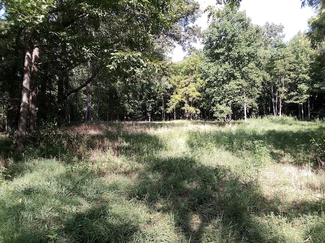 059/057.00 Spring Creek Rd, Dandridge, TN 37725 - view of nature with a forest view