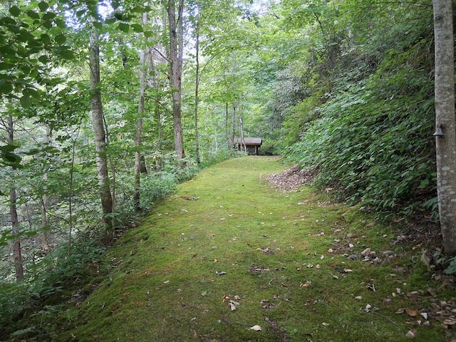 651 Odessey Rd, Del Rio, TN 37727 - photo 60