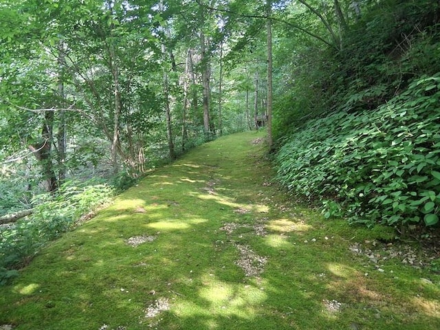 651 Odessey Rd, Del Rio, TN 37727 - photo 49