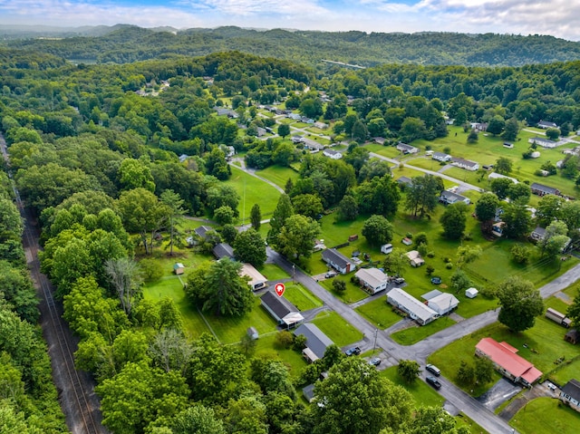 305 Hamilton Pl, Kingsport, TN 37663 - aerial view of a heavily wooded area