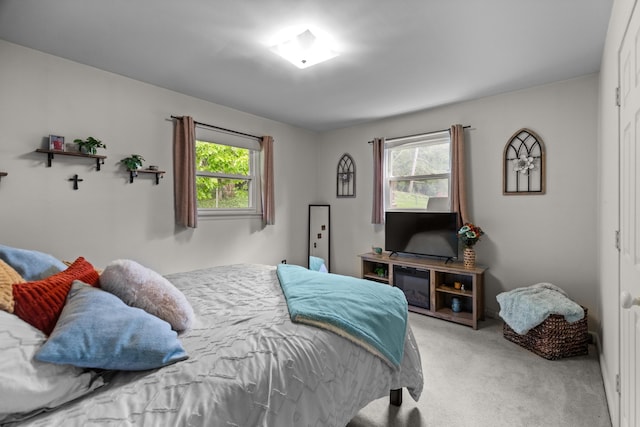 305 Hamilton Pl, Kingsport, TN 37663 - bedroom featuring carpet and multiple windows