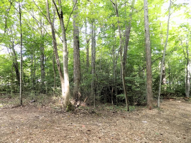 LOTS1-3 Hooper Hwy, Cosby, TN 37722 - photo 8