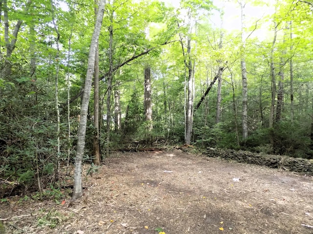LOTS1-3 Hooper Hwy, Cosby, TN 37722 - photo 6