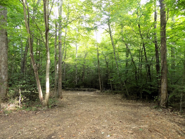 LOTS1-3 Hooper Hwy, Cosby, TN 37722 - photo 3