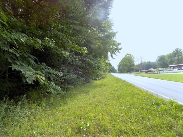 LOTS1-3 Hooper Hwy, Cosby, TN 37722 - photo 10