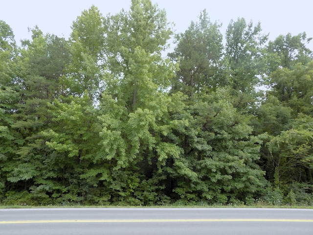 LOTS1-3 Hooper Hwy, Cosby, TN 37722 - photo 11