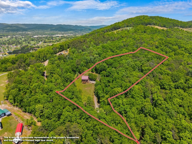 148 Delph Ln, Mooresburg, TN 37811 - bird's eye view of a heavily wooded area and mountains