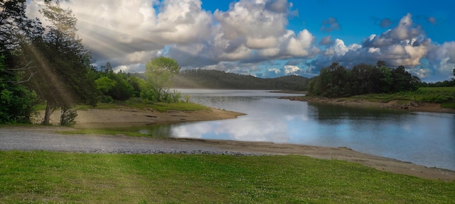 148 Delph Ln, Mooresburg, TN 37811 - water view