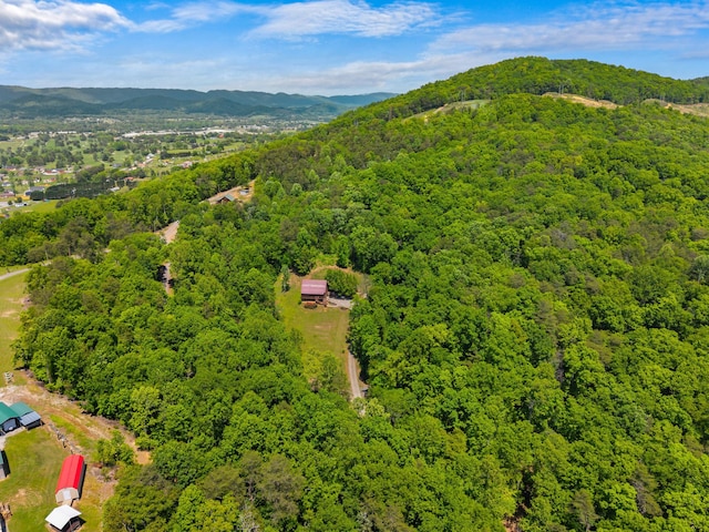 148 Delph Ln, Mooresburg, TN 37811 - aerial view of a forest and a mountain backdrop