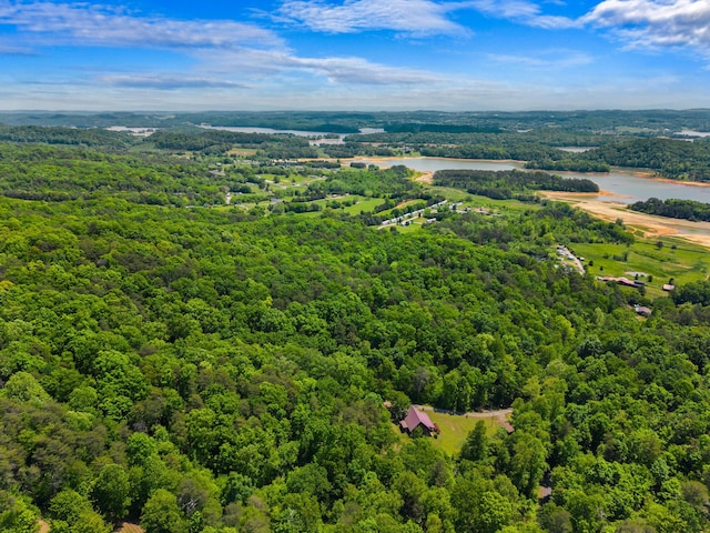 148 Delph Ln, Mooresburg, TN 37811 - bird's eye view of a forest and a nearby body of water