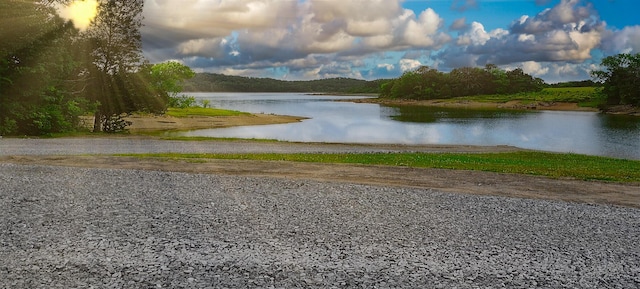 148 Delph Ln, Mooresburg, TN 37811 - water view