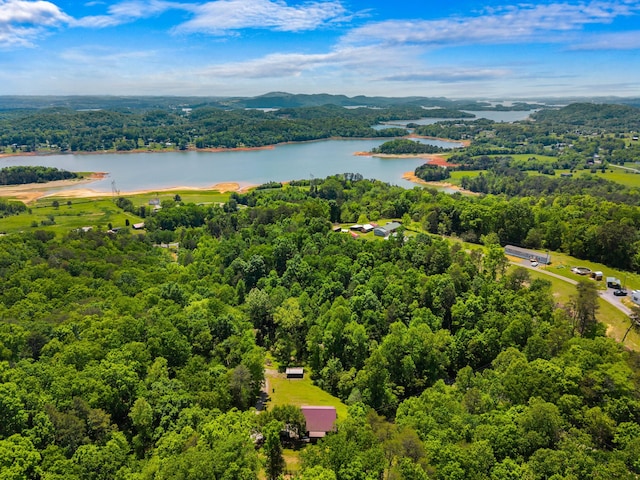 148 Delph Ln, Mooresburg, TN 37811 - bird's eye view of a forest and a large body of water