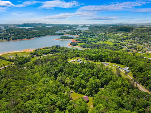 148 Delph Ln, Mooresburg, TN 37811 - aerial view of a large body of water and a forest