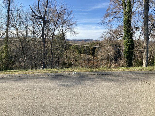 2072 Turners Landing Rd, Russellville, TN 37860