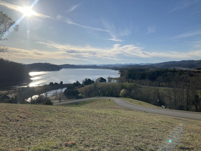 2072 Turners Landing Rd, Russellville, TN 37860