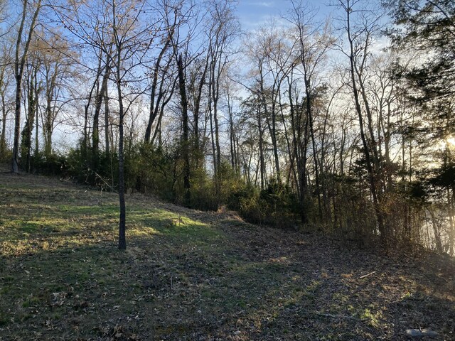2072 Turners Landing Rd, Russellville, TN 37860