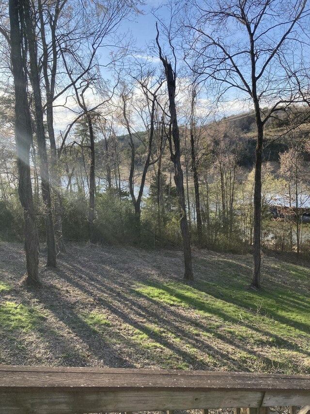 2072 Turners Landing Rd, Russellville, TN 37860