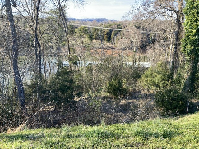 2072 Turners Landing Rd, Russellville, TN 37860