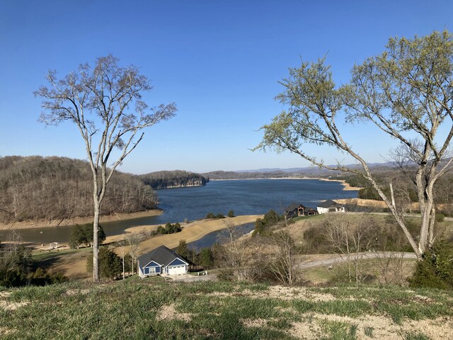 2072 Turners Landing Rd, Russellville, TN 37860