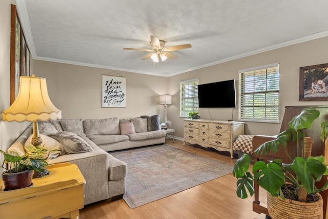 5700 Academy Dr, Morristown, TN 37814 - living area featuring a ceiling fan, wood finished floors, and crown molding