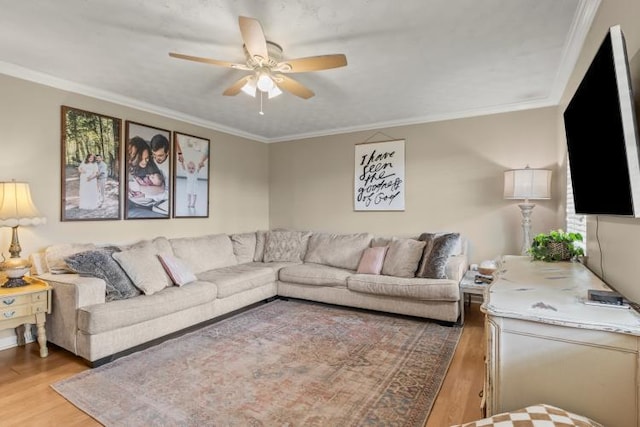 5700 Academy Dr, Morristown, TN 37814 - living room featuring light wood-style flooring, ceiling fan, and crown molding