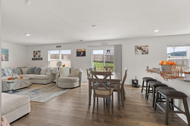 dining room featuring wood-type flooring