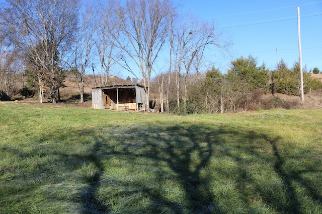 view of yard featuring an outdoor structure