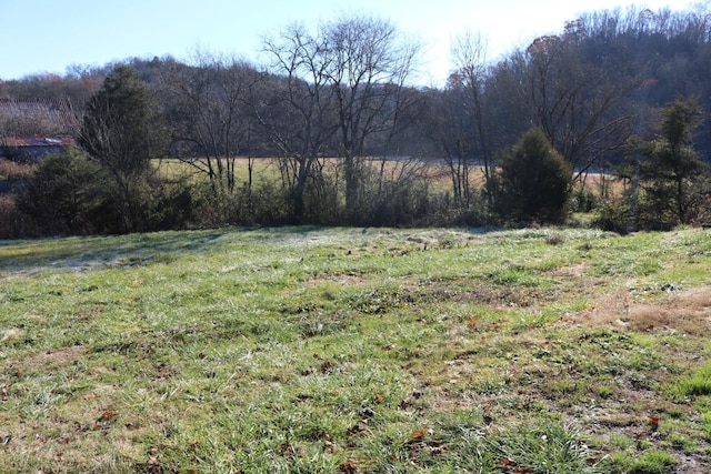 view of yard featuring a rural view