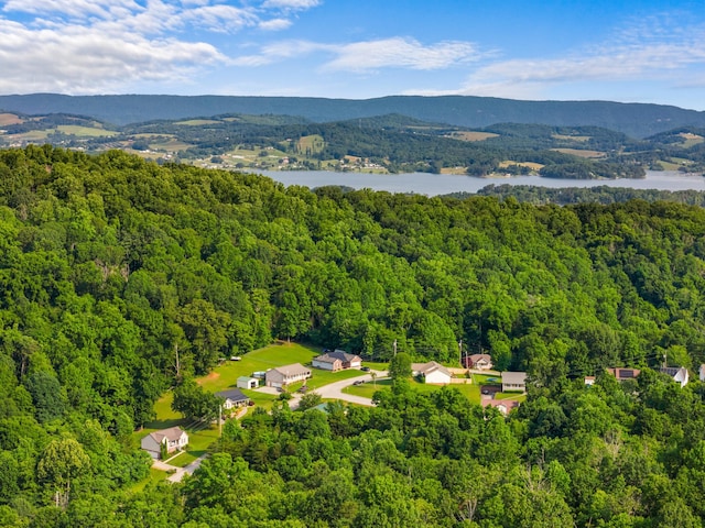 3912 Isaac Ave, Morristown, TN 37814 - aerial view of a forest and a water and mountain view