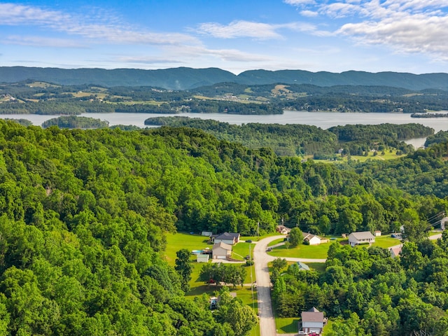 3912 Isaac Ave, Morristown, TN 37814 - aerial view of a forest and a water and mountain view