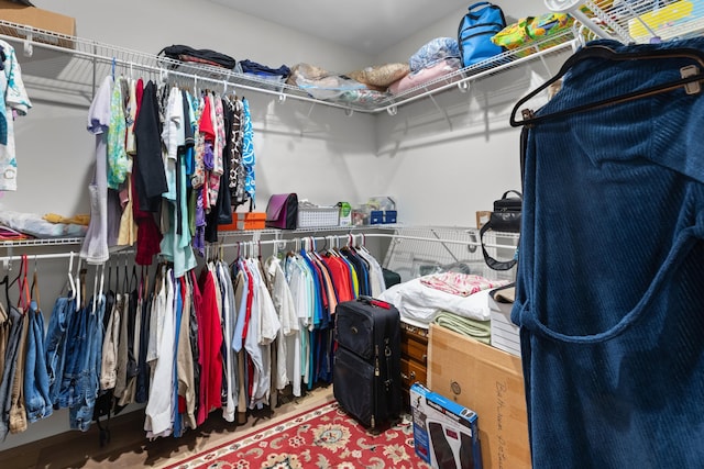 view of walk in closet