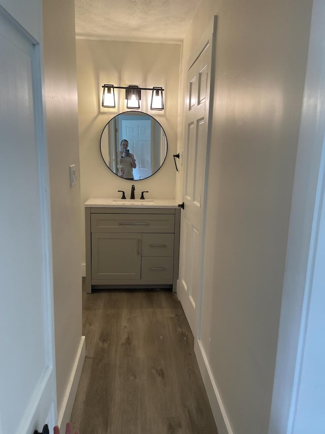 bathroom with hardwood / wood-style floors and vanity