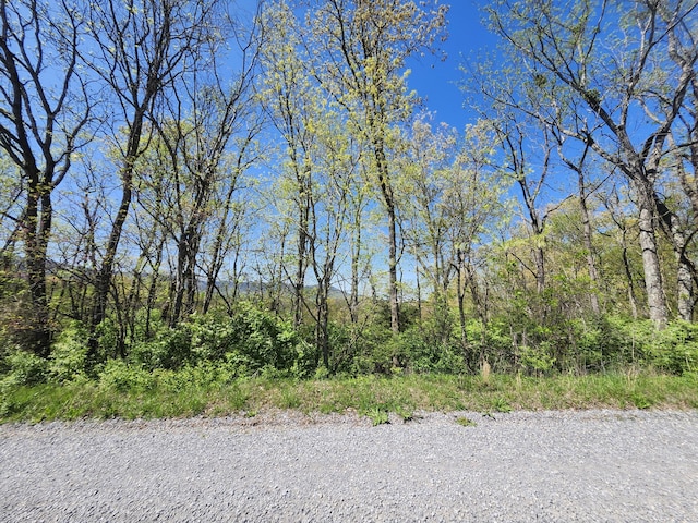 LOT88R Oneil Rd, Newport, TN 37821