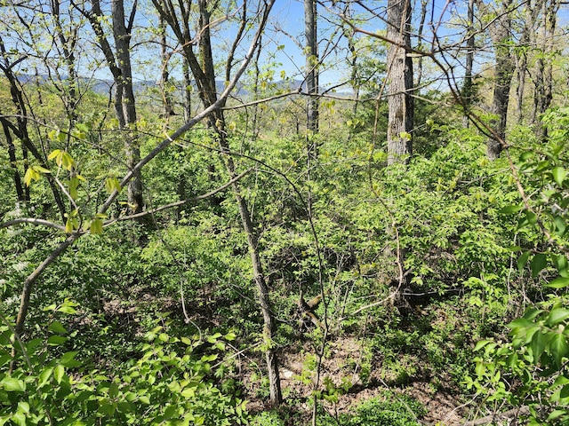 LOT88R Oneil Rd, Newport, TN 37821
