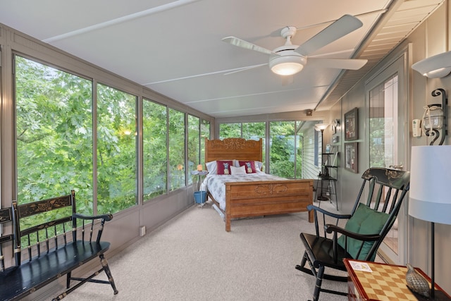 bedroom with carpet floors