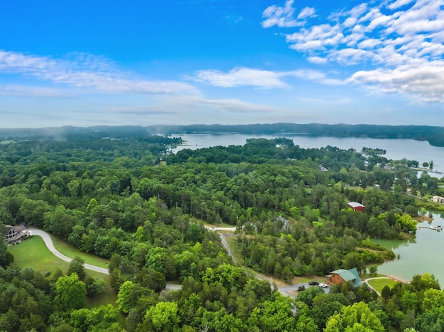 birds eye view of property featuring a wooded view and a water view