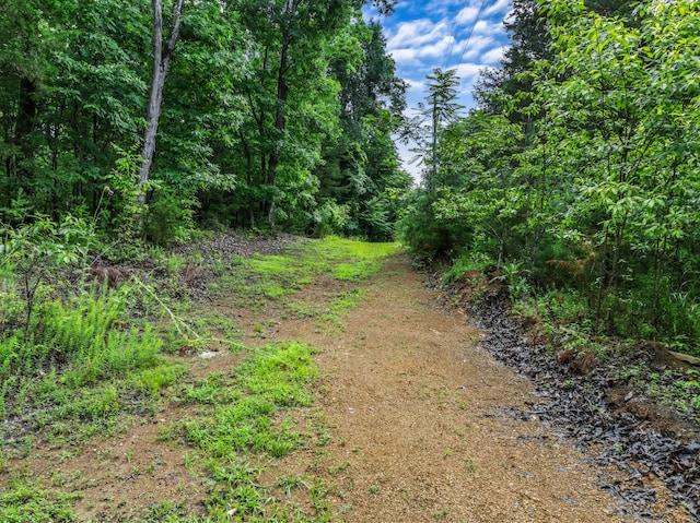 view of road with a view of trees