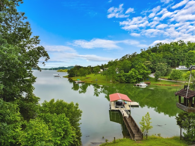 dock area with boat lift and a water view