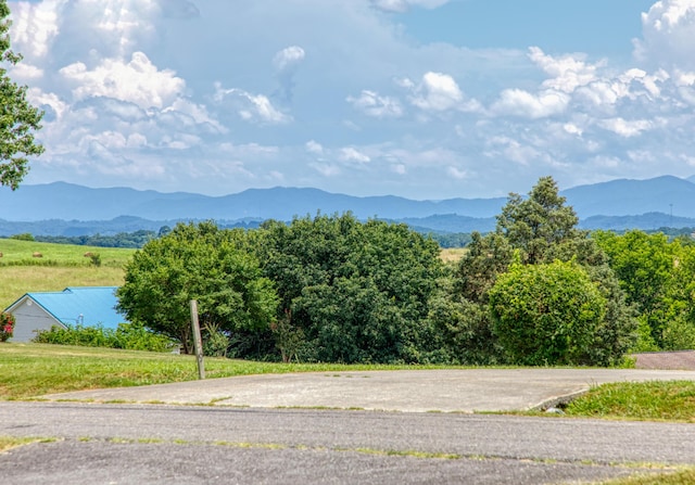 1760 Goddard Ln, Dandridge, TN 37725 - photo 6