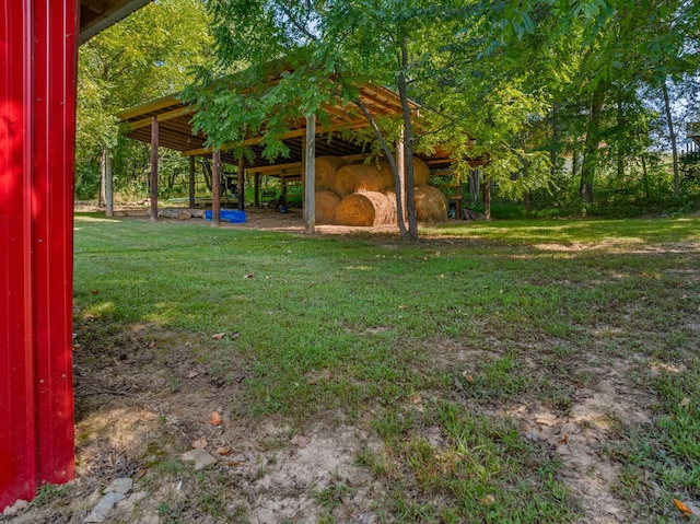 view of yard featuring an outdoor structure