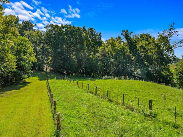 view of yard with a rural view