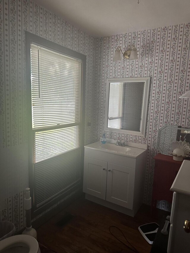 bathroom featuring hardwood / wood-style floors, vanity, and toilet