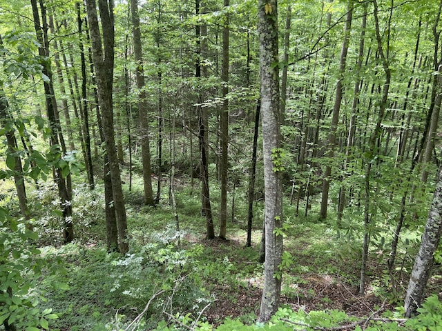 LOT1 4-6 Old Cartertown Rd, Gatlinburg, TN 37738 - photo 13