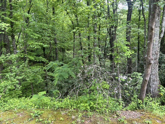 LOT1 4-6 Old Cartertown Rd, Gatlinburg, TN 37738 - photo 6