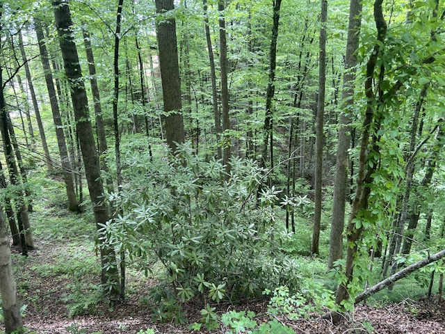 LOT1 4-6 Old Cartertown Rd, Gatlinburg, TN 37738 - photo 14