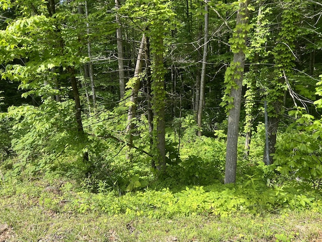LOT1 4-6 Old Cartertown Rd, Gatlinburg, TN 37738 - photo 10