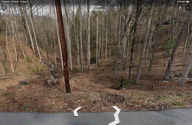 LOT1 4-6 Old Cartertown Rd, Gatlinburg, TN 37738 - photo 17