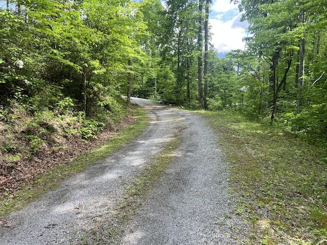 LOT1 4-6 Old Cartertown Rd, Gatlinburg, TN 37738 - photo 2